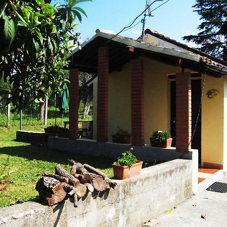 L'Albero Delle Noci Vila Lanciano Exterior foto