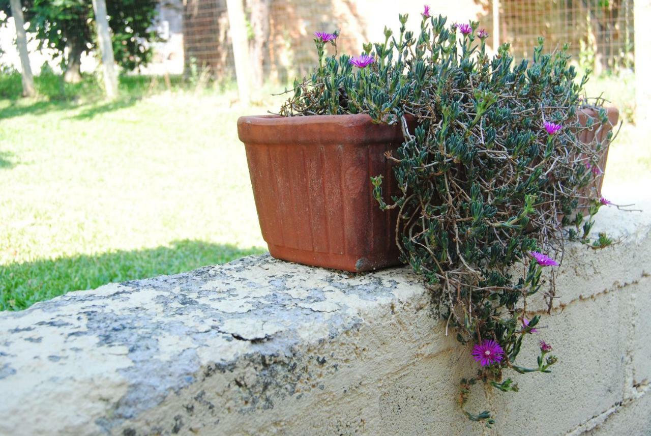 L'Albero Delle Noci Vila Lanciano Exterior foto